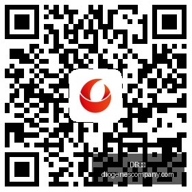 荣耀电竞手,机销量攀升,新品发布引,DB体育,DB体育官网,DB体育app,DB体育直播